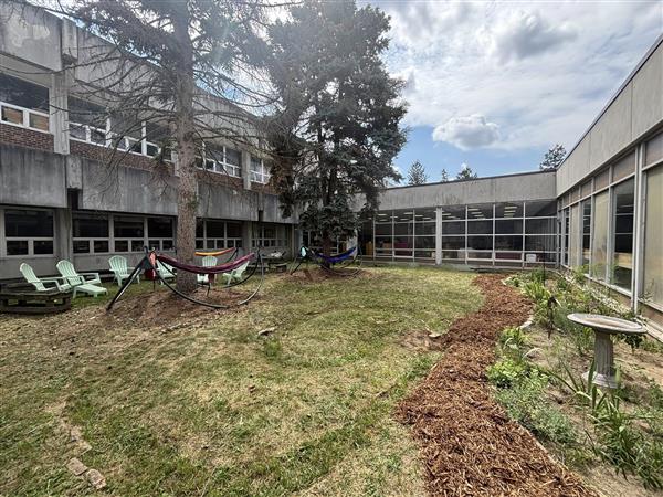 hammocks in library courtyard
